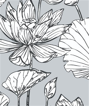 NextWall Peel & Stick Lotus Floral Gray & Ebony Wallpaper