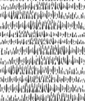NextWall Peel & Stick Brush Marks Black & White Wallpaper