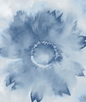 NextWall Peel & Stick Watercolor Sunflower Navy Blue Wallpaper