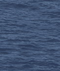 NextWall Peel & Stick Serene Sea Denim Blue Wallpaper