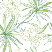 NextWall Peel & Stick Spider Plants Green Wallpaper