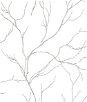 NextWall Peel & Stick Delicate Branches Metallic Silver Wallpaper