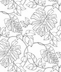 NextWall Peel & Stick Tropical Linework Black & White Wallpaper