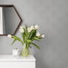 NextWall Peel &amp; Stick Arches Argos Grey Wallpaper thumbnail image 4 of 4