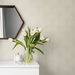 NextWall Peel &amp; Stick Arches Alba Beige Wallpaper thumbnail image 3 of 4