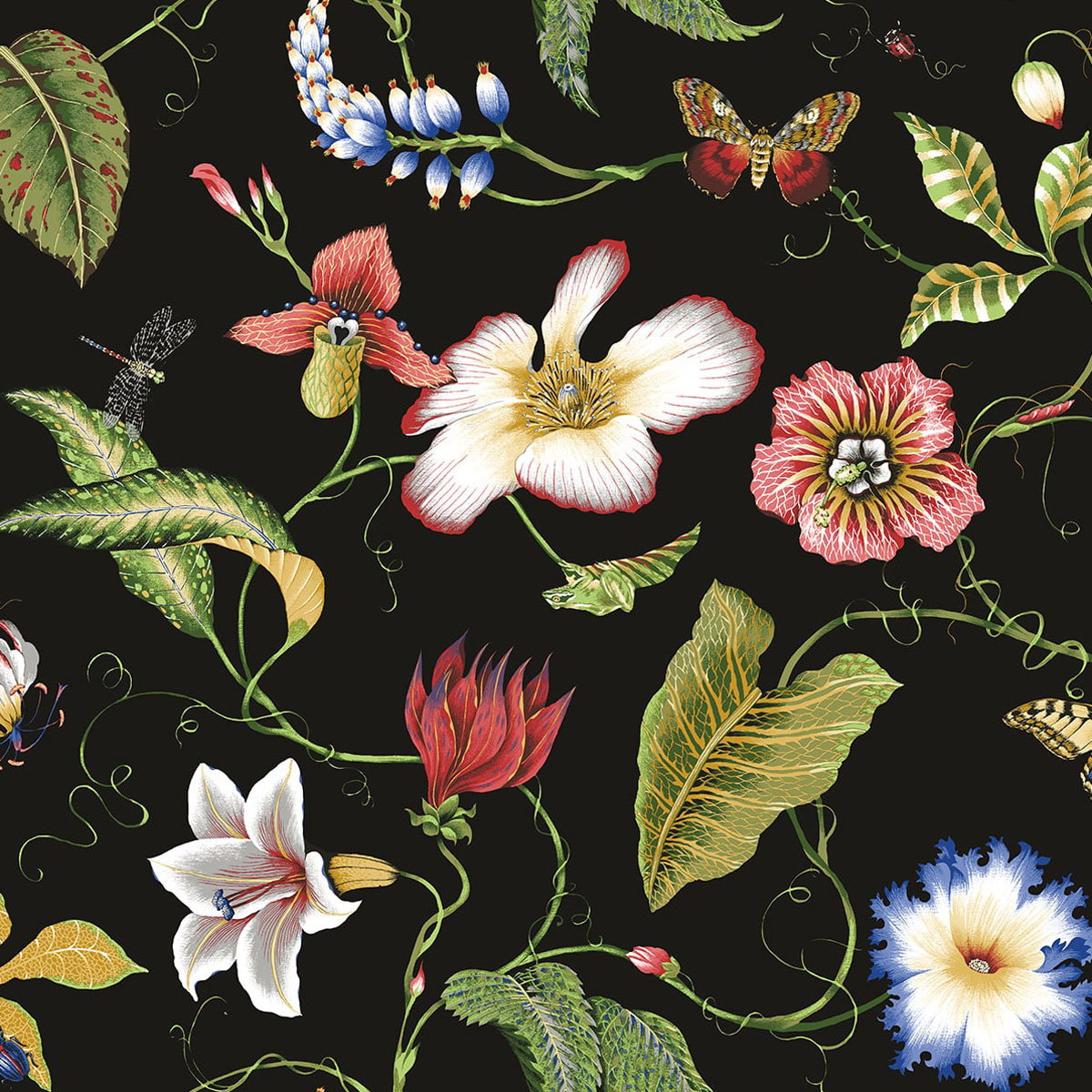 Seabrook Summer Garden Floral Jet Black Wallpaper - View #7