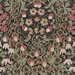 NextWall Peel & Stick Tulip Garden Ebony & Red Clay Wallpaper