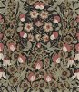 NextWall Peel & Stick Tulip Garden Ebony & Red Clay Wallpaper