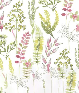 NextWall Peel & Stick Wild Garden Lemongrass & Posy Pink Wallpaper
