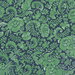 NextWall Peel & Stick Tonal Paisley Spearmint & Navy Wallpaper