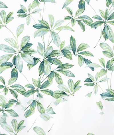 NextWall Peel & Stick Leaf Trail Seaglass Wallpaper