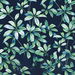 NextWall Peel &amp; Stick Leaf Trail Navy &amp; Spearmint Wallpaper thumbnail image 1 of 5
