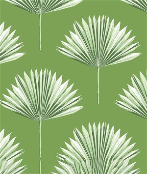 NextWall Peel & Stick Tropical Fan Palm Green Sprout Wallpaper
