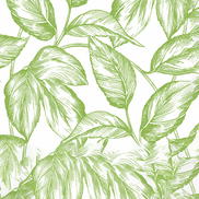 NextWall Peel & Stick Sketched Leaves Greenery Wallpaper