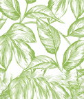 NextWall Peel & Stick Sketched Leaves Greenery Wallpaper