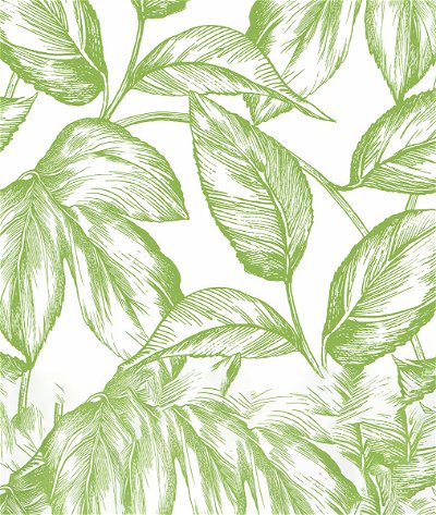 NextWall Peel & Stick Sketched Leaves Greenery Wallpaper