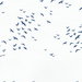 NextWall Peel & Stick Birds in Flight Navy Blue Wallpaper