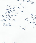 NextWall Peel & Stick Birds in Flight Navy Blue Wallpaper