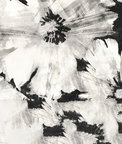 NextWall Peel & Stick Graphic Floral Ebony & Champagne Wallpaper