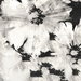 NextWall Peel &amp; Stick Graphic Floral Ebony &amp; Champagne Wallpaper thumbnail image 1 of 5