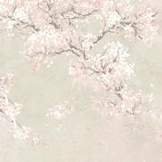 NextWall Peel & Stick Cherry Blossom Grove Parchment & Rose Wallpaper