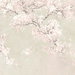 NextWall Peel & Stick Cherry Blossom Grove Parchment & Rose Wallpaper