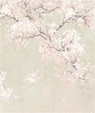 NextWall Peel & Stick Cherry Blossom Grove Parchment & Rose Wallpaper