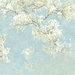 NextWall Peel & Stick Cherry Blossom Grove Blue Mist & Green Tea Wallpaper