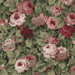 NextWall Peel &amp; Stick Rose Garden Garnet &amp; Basil Wallpaper thumbnail image 1 of 5