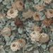 NextWall Peel &amp; Stick Rose Garden Midnight Blue &amp; Cafe Wallpaper thumbnail image 1 of 5