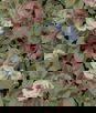 NextWall Peel & Stick Rose Garden Olive & Wine Wallpaper