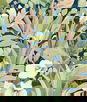 NextWall Peel & Stick Blossoming Birds Fern & Denim Blue Wallpaper
