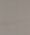 60" Silver Nylon Spandex Fabric