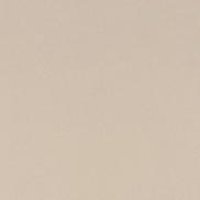 60" Ivory Nylon Spandex Fabric