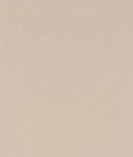 60" Ivory Nylon Spandex Fabric