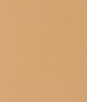 60" Champagne Nylon Spandex Fabric