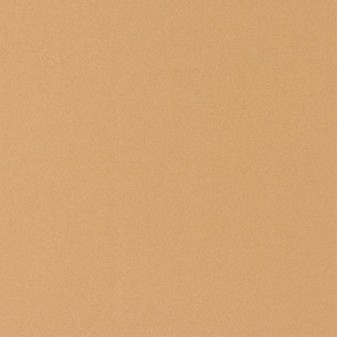 60" Champagne Nylon Spandex Fabric image 1 of 2