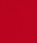 60" Red Nylon Spandex Fabric