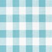 Premier Prints Outdoor Anderson Aqua Luxe Polyester Fabric