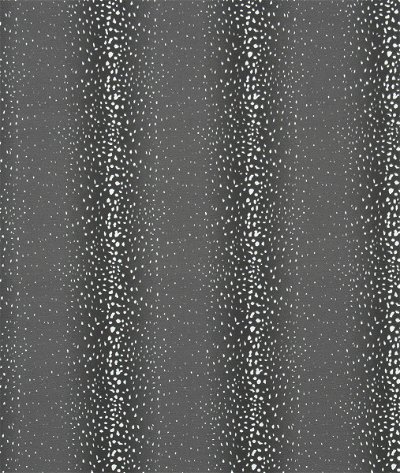Premier Prints Outdoor Antelope Falcon Grey Fabric