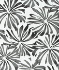 Premier Prints Outdoor Aria Matte Black Fabric