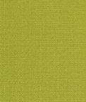 Premier Prints Outdoor Dyed Solid Greenery Luxe Polyester Fabric