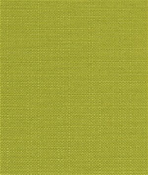 Premier Prints Outdoor Dyed Solid Greenery Luxe Polyester Fabric