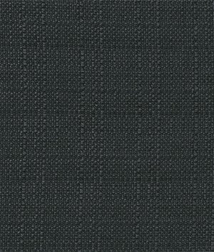 Premier Prints Outdoor Dyed Solid Matte Black Luxe Polyester Fabric