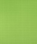 Premier Prints Outdoor Faulkner Courtyard Green Luxe Polyester Fabric