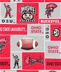 Ohio State Buckeyes Allover NCAA Fleece Fabric