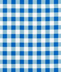 Blue 7/8" Gingham Oilcloth Fabric