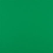 Green Oilcloth Fabric