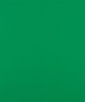 Green Oilcloth Fabric