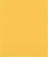 Yellow Oilcloth